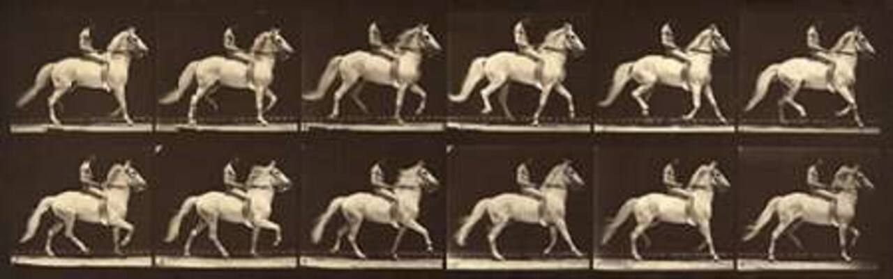 Motion Study: Man Riding A Horse Poster Print by Eadweard Muybridge - Item # VARPDX474185